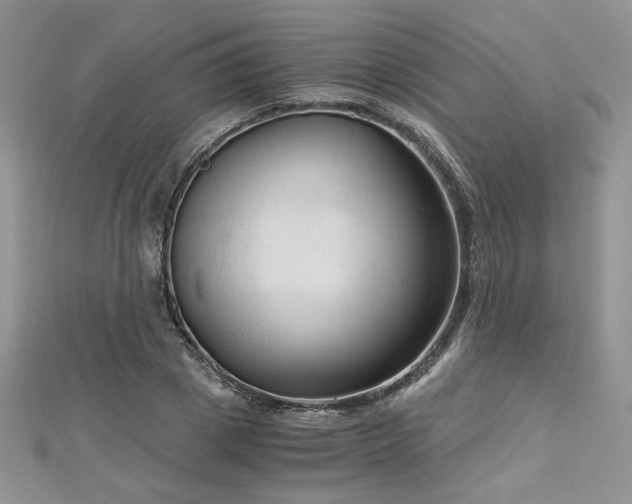 X0000113140833200909041207