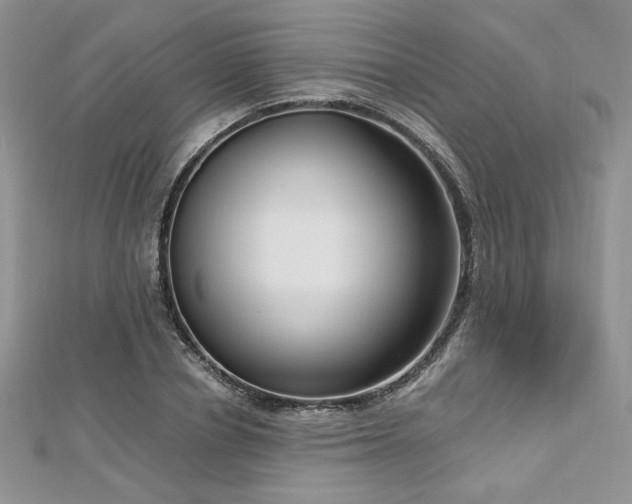 X0000113140834200909041207