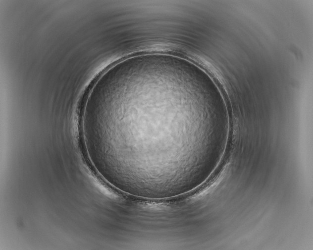 X0000113140835200909041207