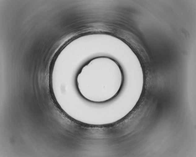 X0000113140836200909041207