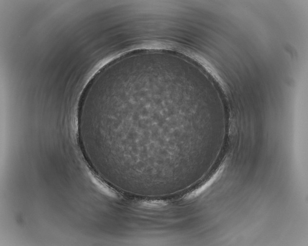 X0000113140837200909041207