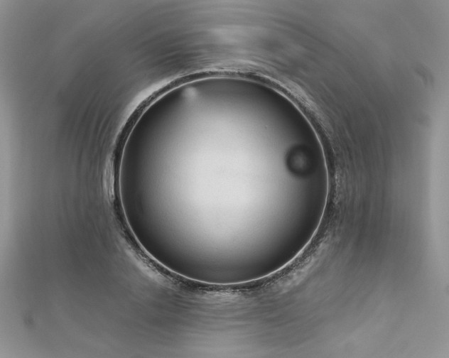 X0000113140838200909041207