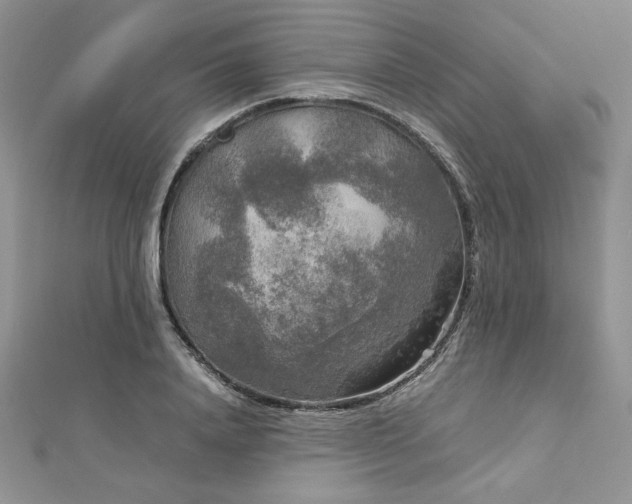 X0000113140840200909041207