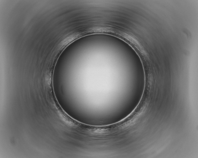 X0000113140841200909041207