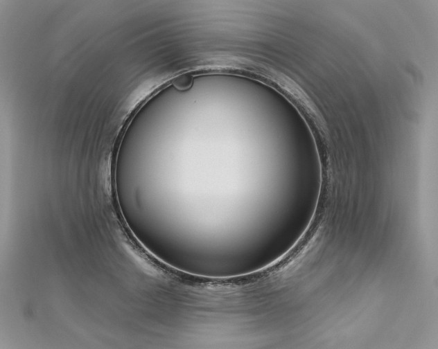 X0000113140842200909041207