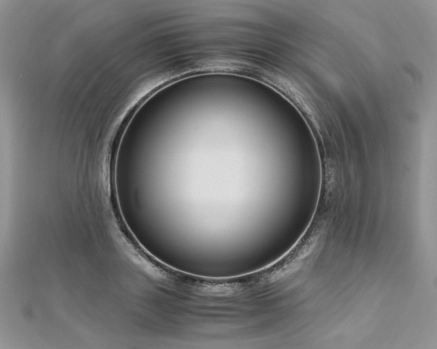 X0000113140843200909041207