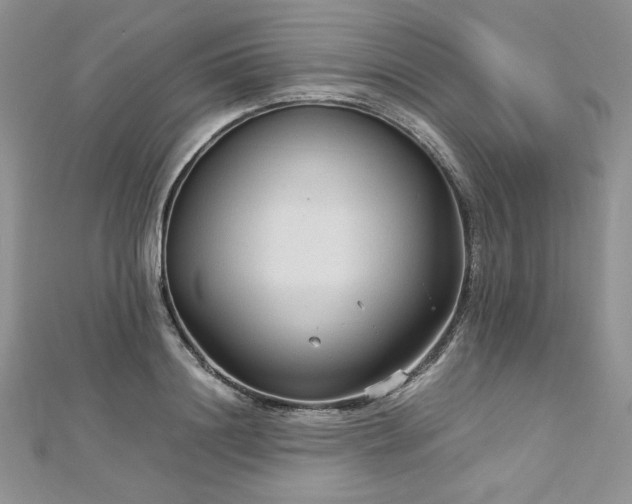 X0000113140844200909041207