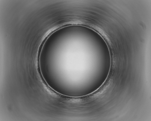 X0000113140845200909041207