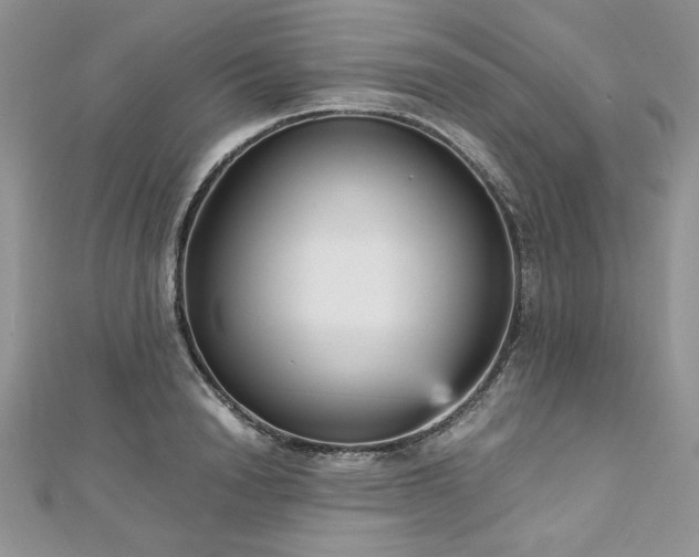 X0000113140846200909041207