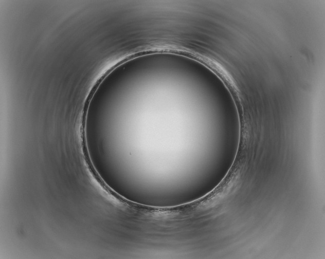 X0000113140847200909041207