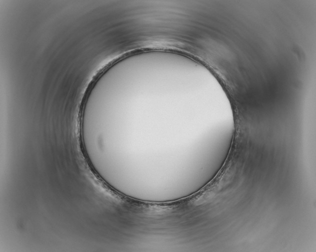 X0000113140848200909041207