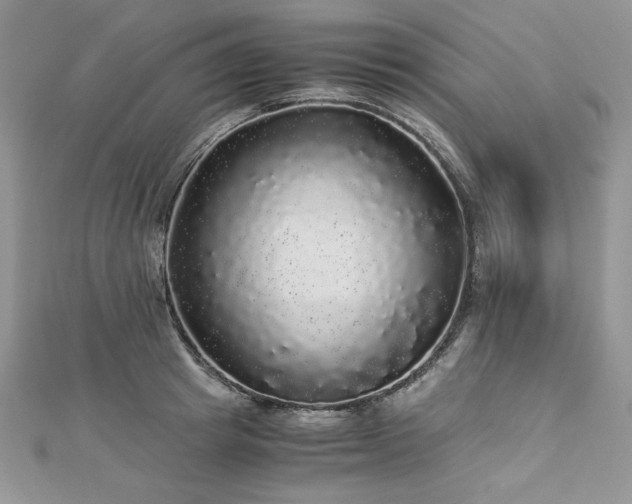 X0000113140849200909041207