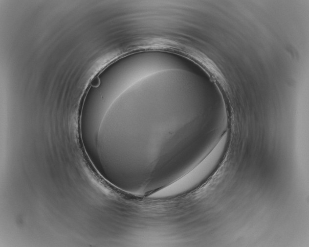 X0000113140850200909041207
