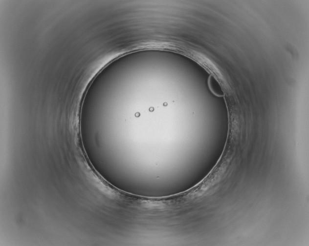 X0000113140852200909041207