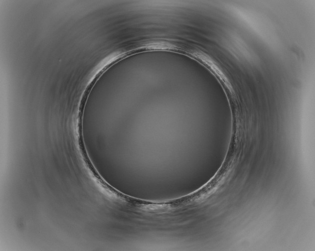 X0000113140853200909041207