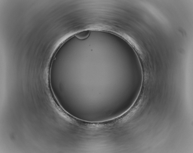 X0000113140854200909041207