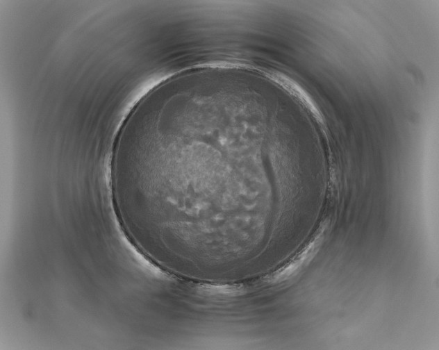 X0000113140855200909041207