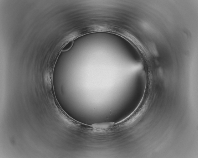X0000113140857200909041207