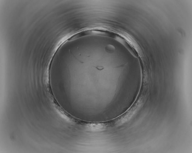 X0000113140858200909041207