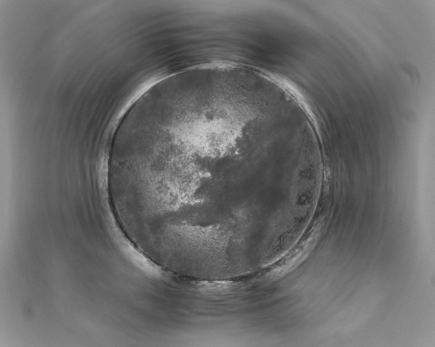 X0000113140859200909041207