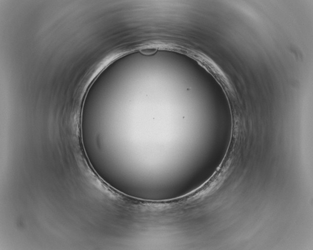 X0000113140860200909041207