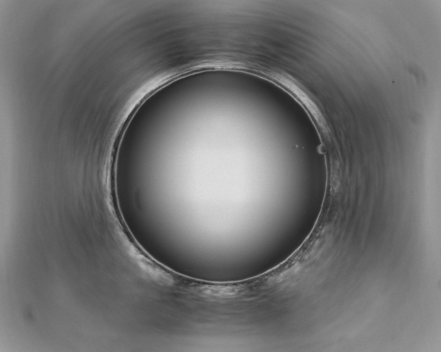 X0000113140861200909041207
