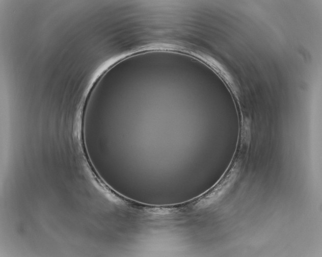 X0000113140862200909041207