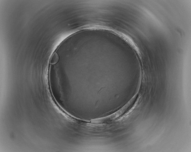 X0000113140863200909041207