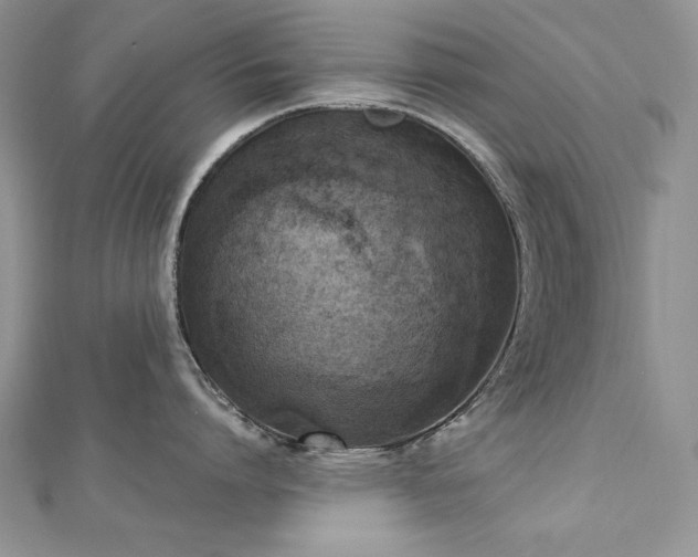 X0000113140864200909041207