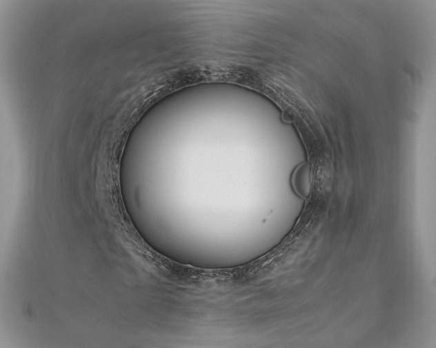 X0000113140865200909041207