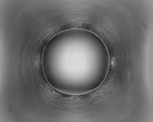 X0000113140867200909041207