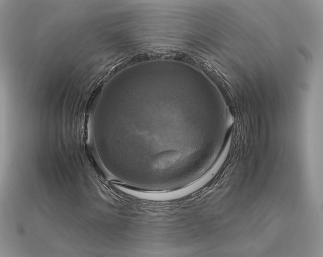 X0000113140868200909041207