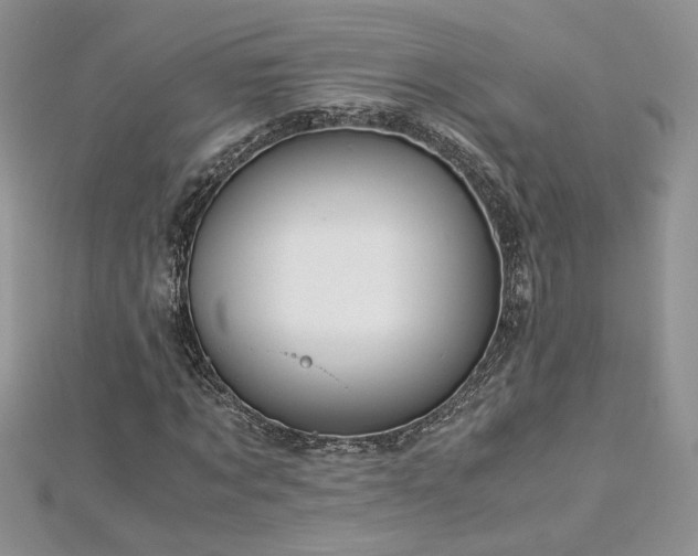 X0000113140869200909041207