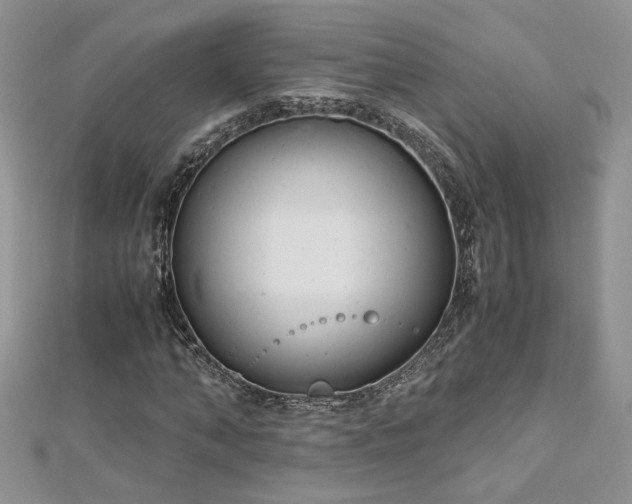 X0000113140870200909041207
