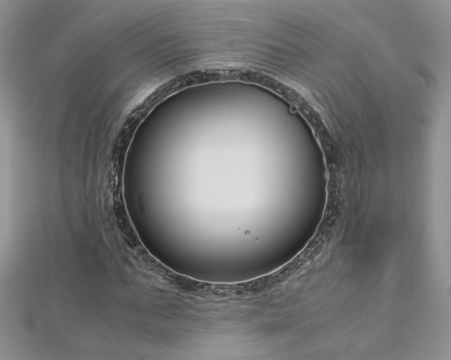 X0000113140871200909041207
