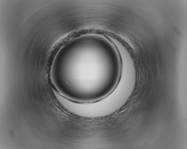 X0000113140872200909041207