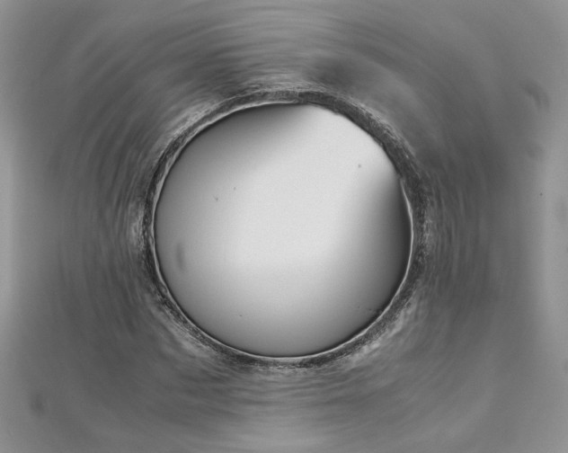 X0000113140873200909041207