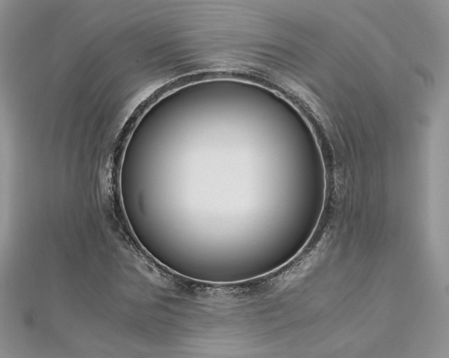 X0000113140875200909041206