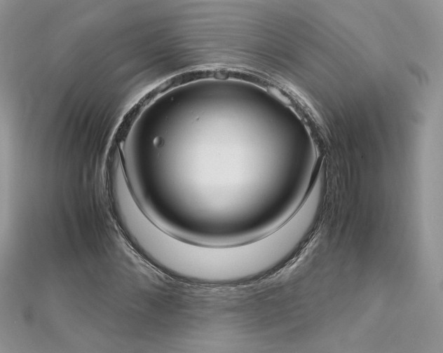 X0000113140876200909041206