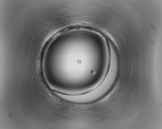 X0000113140877200909041206