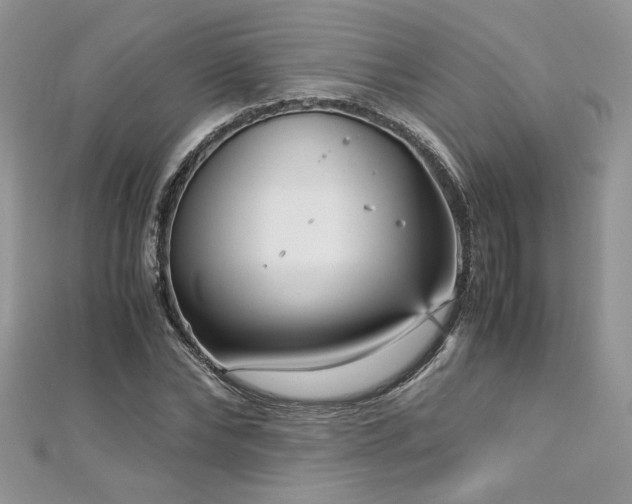 X0000113140878200909041206
