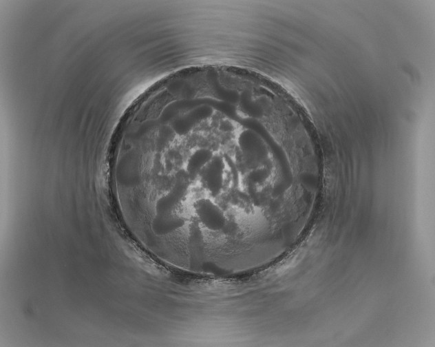 X0000113140879200909041206