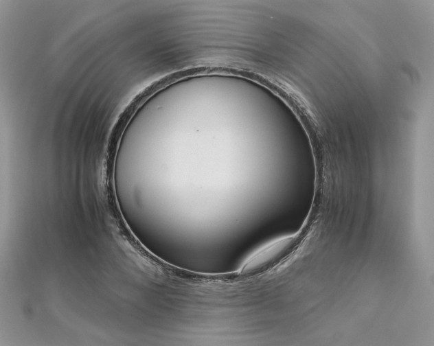 X0000113140880200909041206