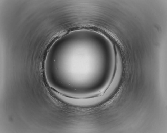 X0000113140881200909041206