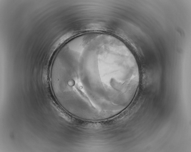 X0000113140882200909041206