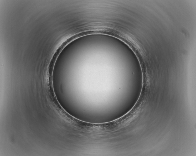 X0000113140883200909041206