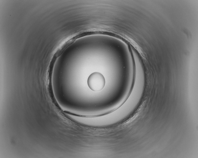 X0000113140885200909041206