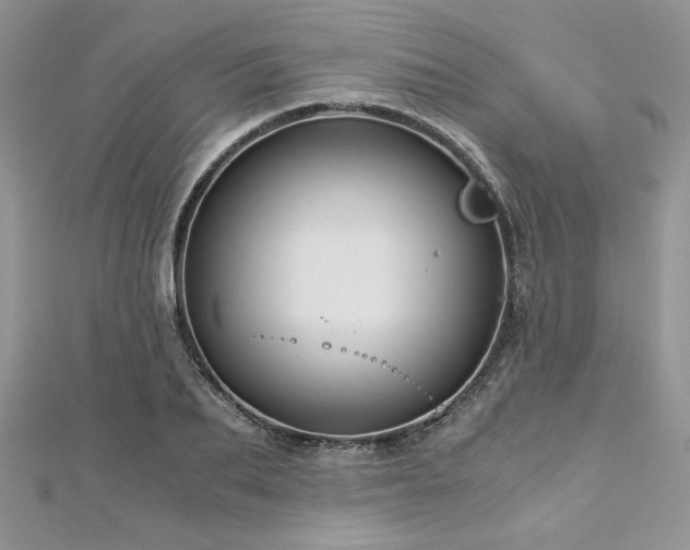 X0000113140887200909041206