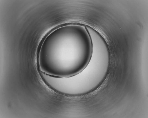X0000113140888200909041206