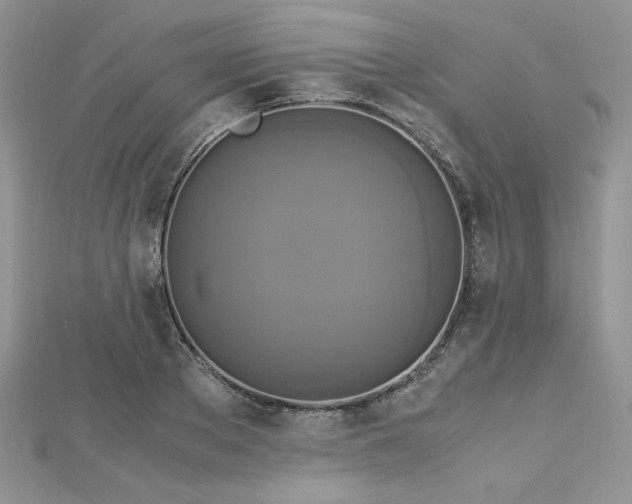 X0000113140889200909041206
